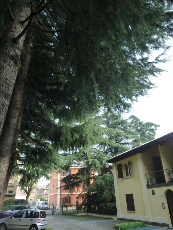 Il Giardinetto - Smart Working - Airport - Private Parking - Private Garden - Ducati - Philip Morris Lägenhet Bologna Exteriör bild